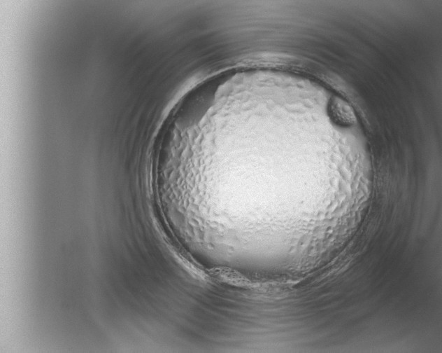 X0000080131083200612302030