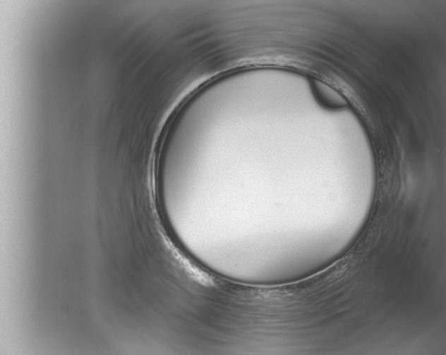 X0000080131084200612302030