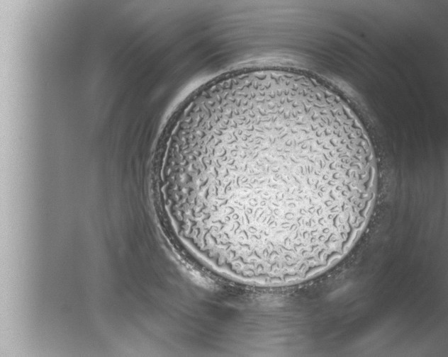 X0000080131086200612302030