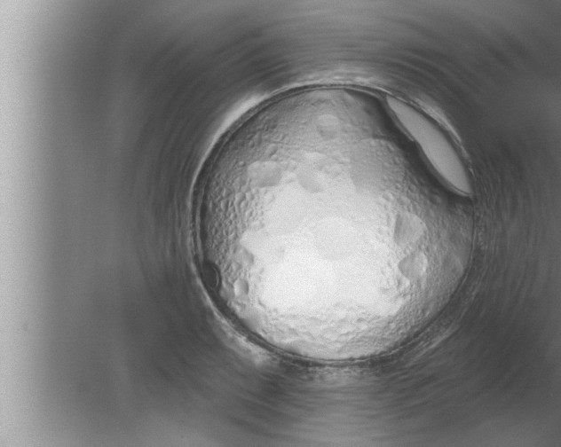 X0000080131087200612302030