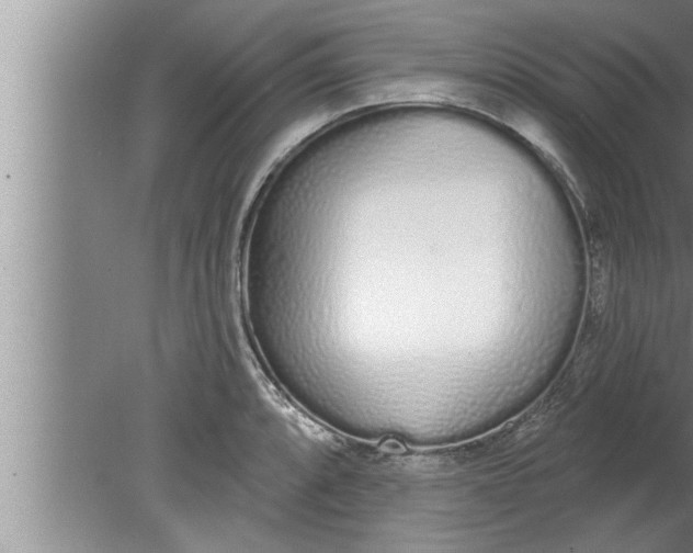 X0000080131088200612302030