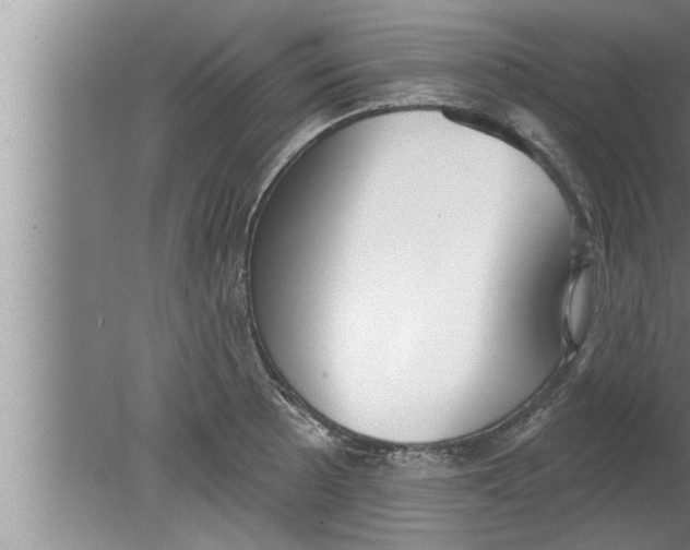 X0000080131089200612302030