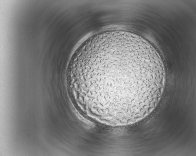 X0000080131090200612302030