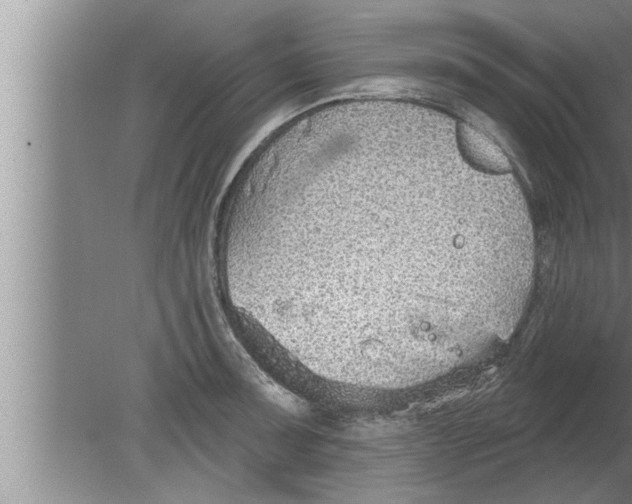 X0000080131091200612302030