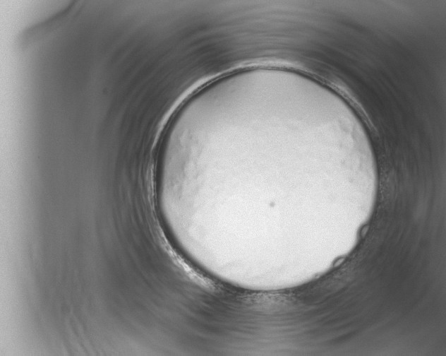 X0000080131092200612302030