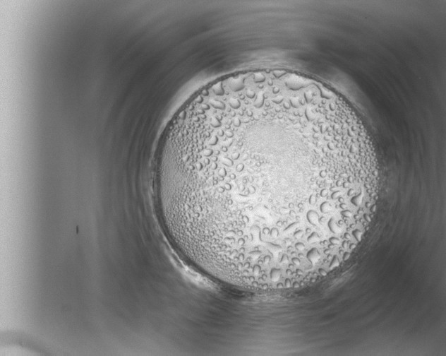 X0000080131094200612302030