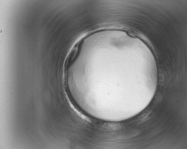 X0000080131095200612302030