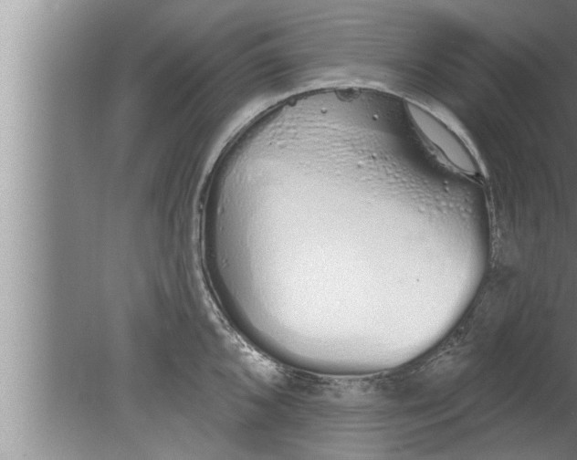 X0000080131096200612302030