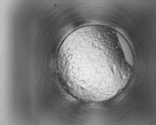 X0000080131097200612302030