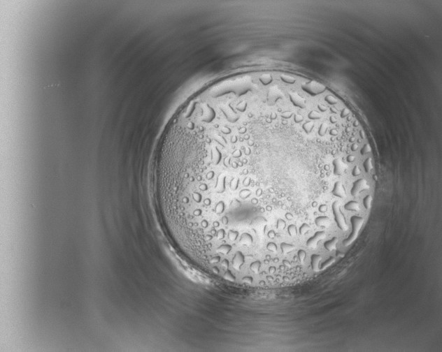 X0000080131098200612302029