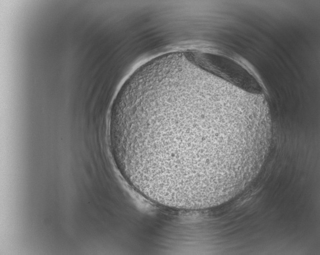 X0000080131099200612302029