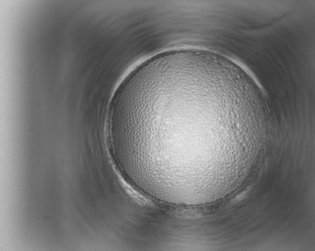 X0000080131101200612302029