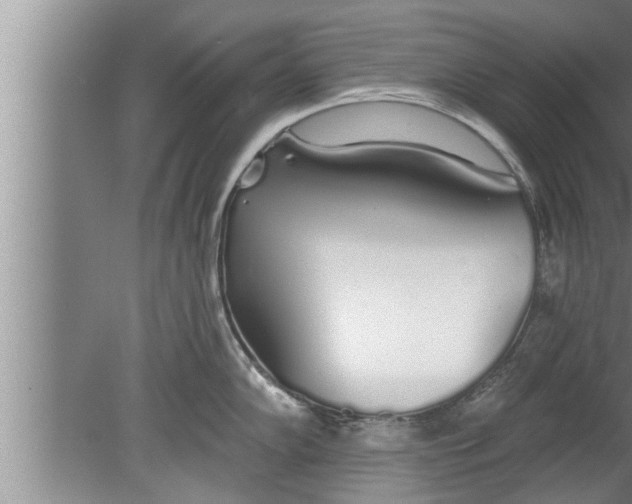 X0000080131102200612302029