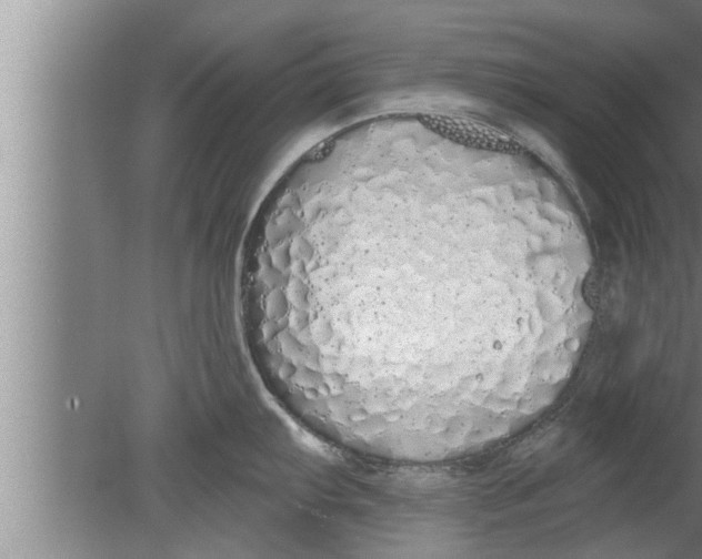 X0000080131103200612302029