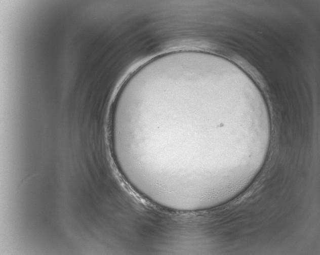 X0000080131104200612302029