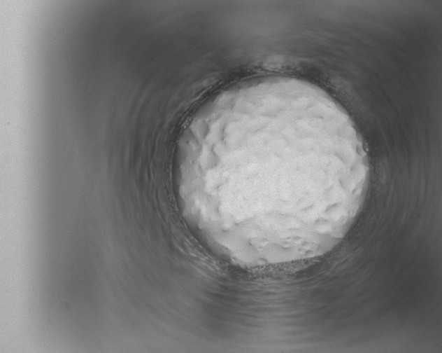 X0000080131105200612302029