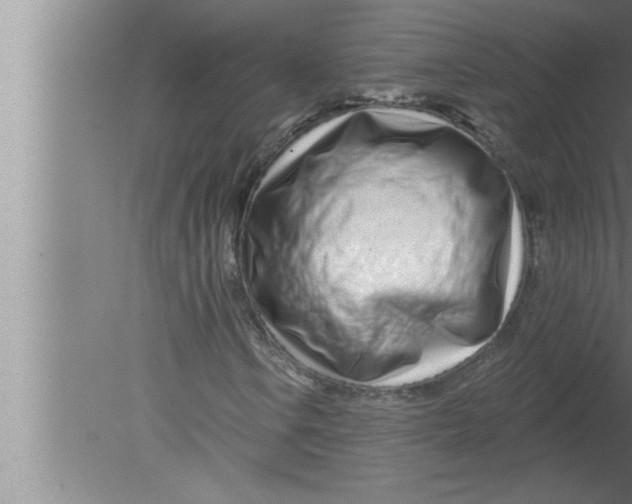 X0000080131106200612302029