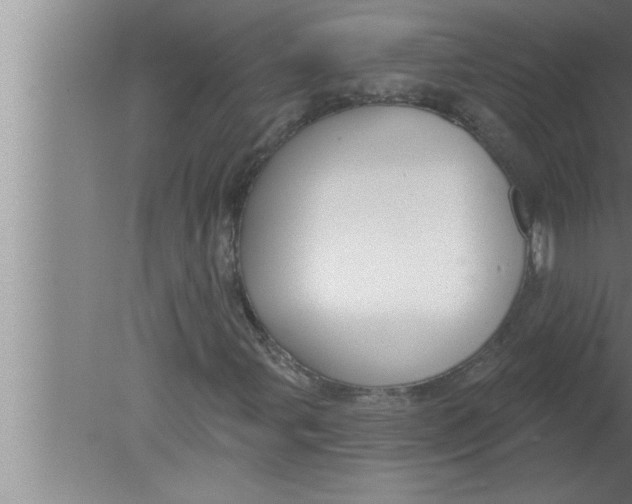 X0000080131107200612302029