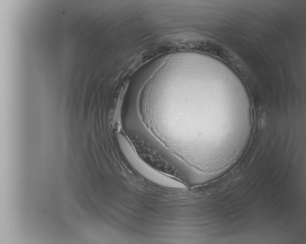 X0000080131108200612302029