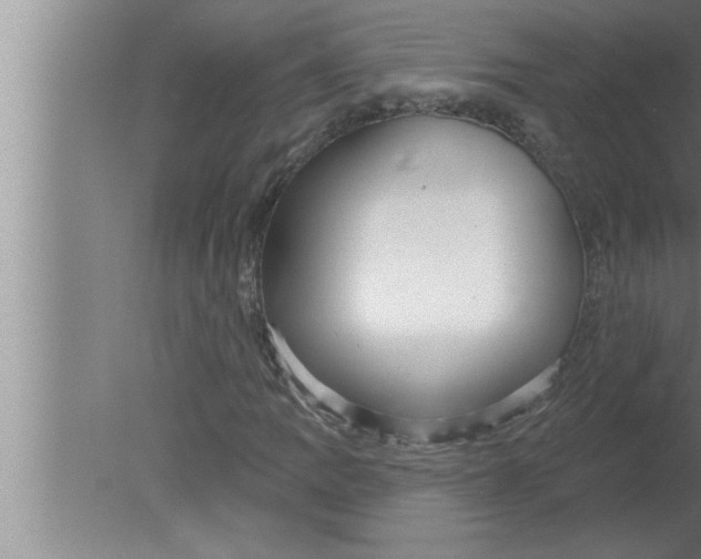 X0000080131109200612302029