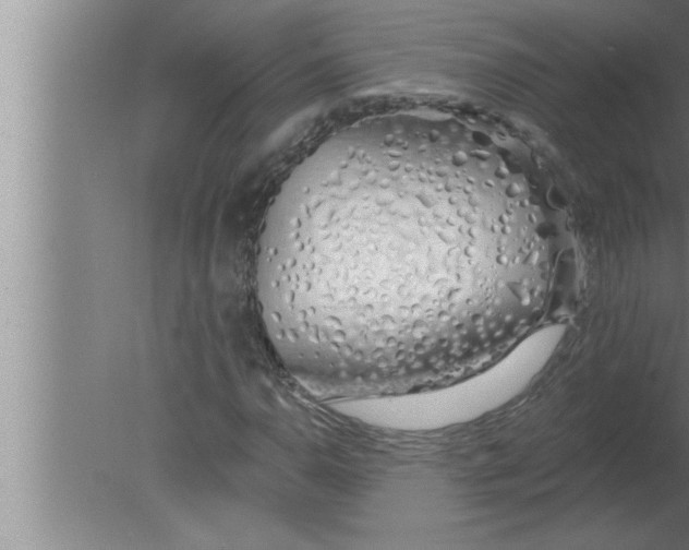 X0000080131110200612302029