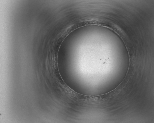 X0000080131111200612302029