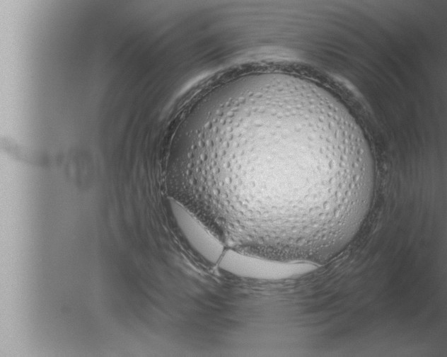 X0000080131112200612302029