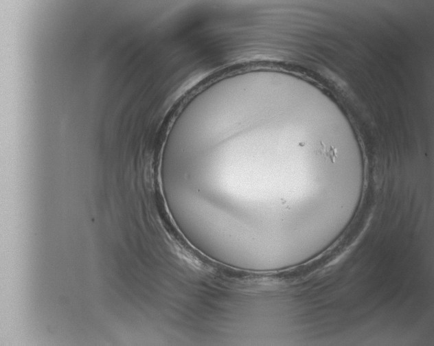 X0000080131113200612302029