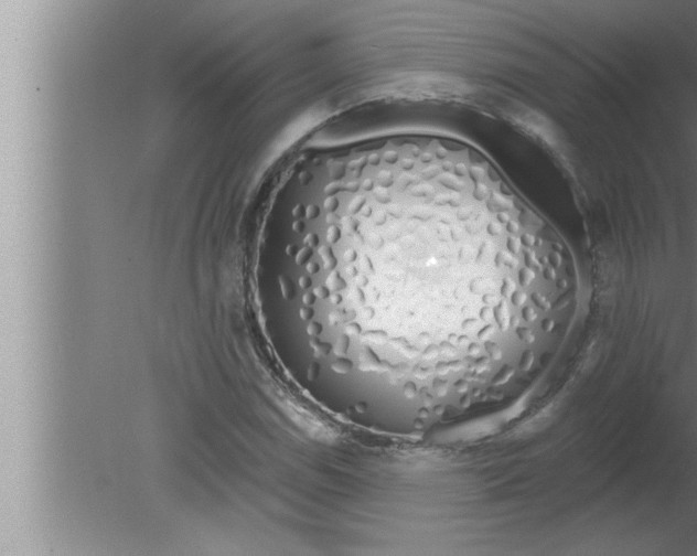 X0000080131114200612302029