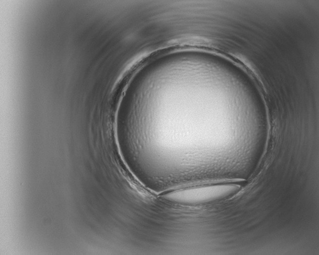 X0000080131115200612302029