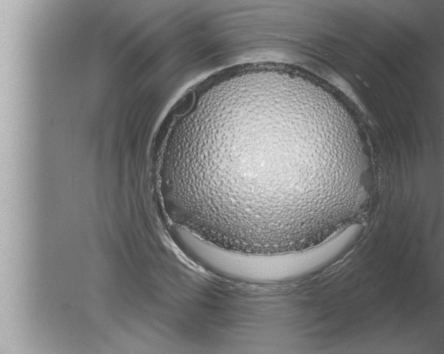 X0000080131116200612302029