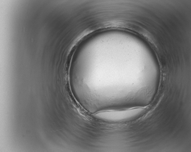 X0000080131117200612302029