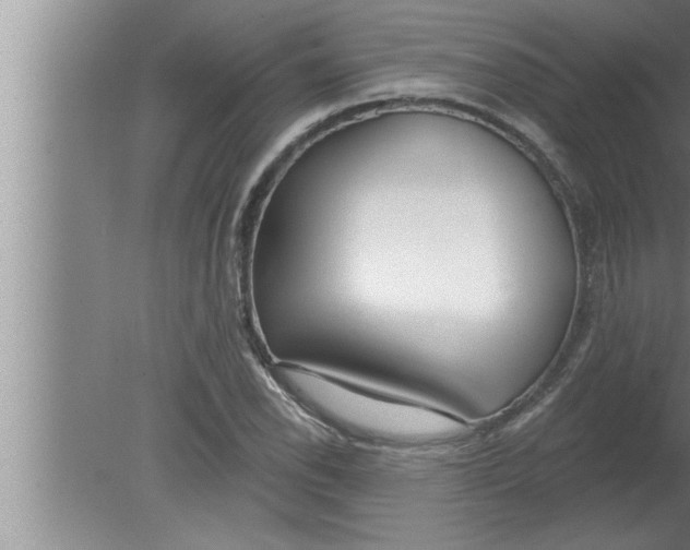 X0000080131118200612302029