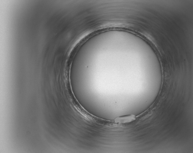 X0000080131119200612302029