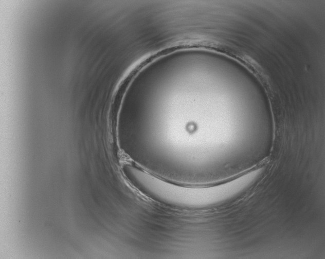 X0000080131120200612302029