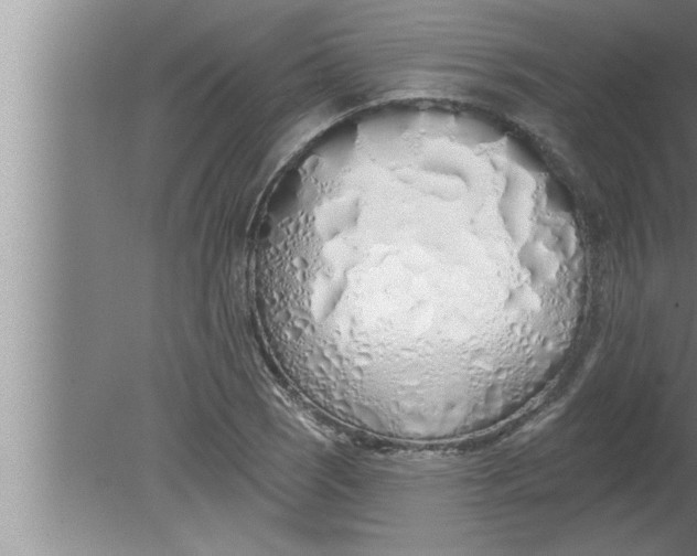 X0000080131121200612302029