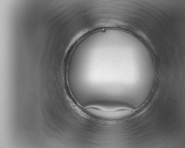 X0000080131122200612302029