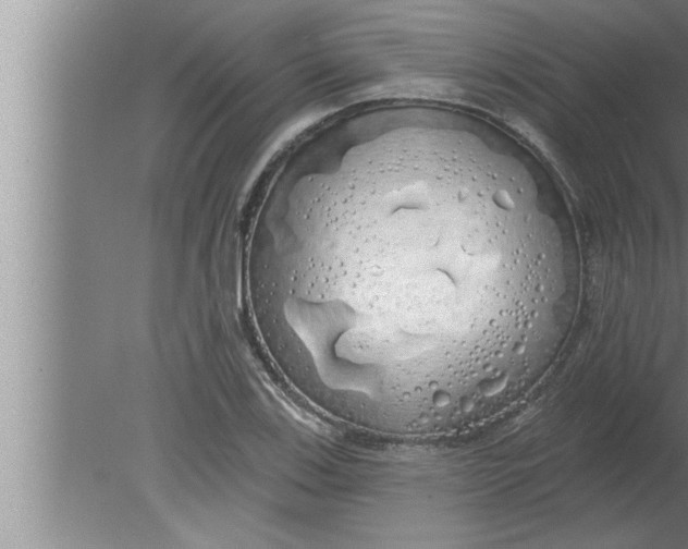 X0000080131123200612302029