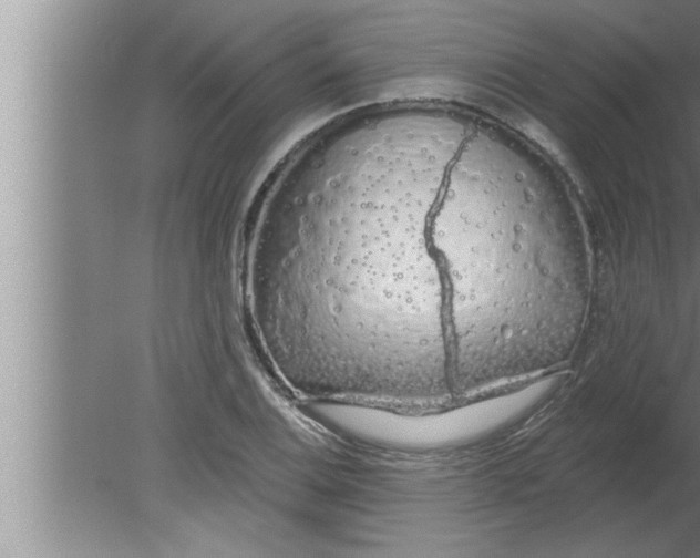 X0000080131124200612302029