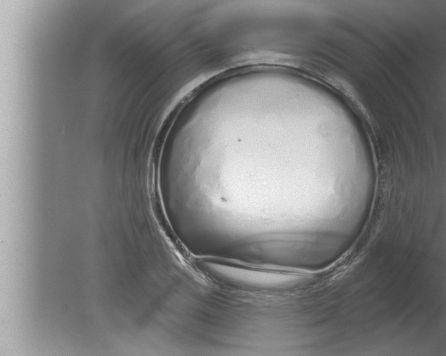 X0000080131125200612302029