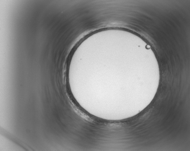 X0000080131126200612302029