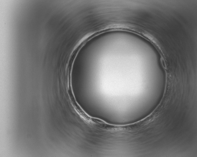 X0000080131127200612302029