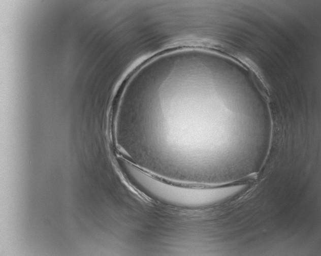 X0000080131128200612302029