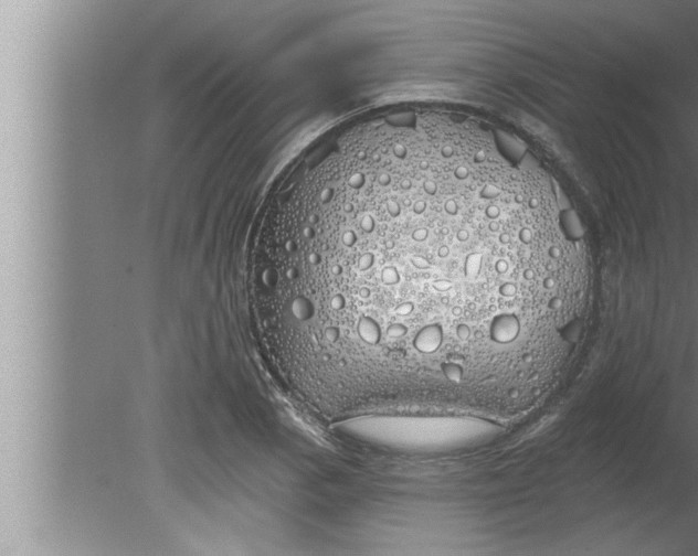 X0000080131129200612302029