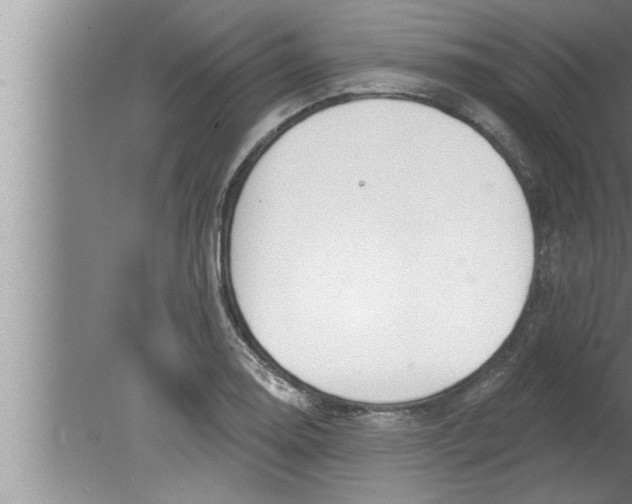 X0000080131130200612302029