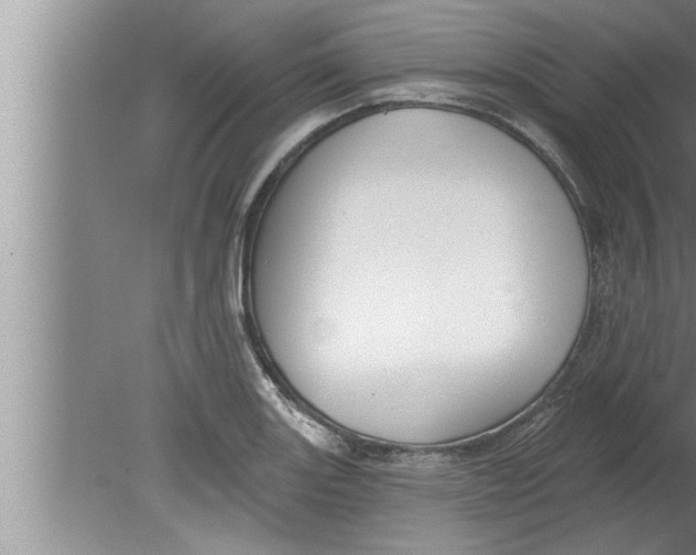 X0000080131131200612302029