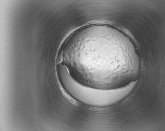 X0000080131132200612302029