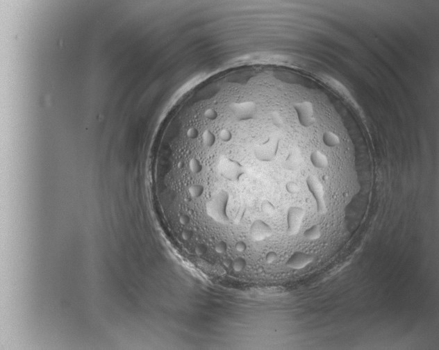 X0000080131133200612302029