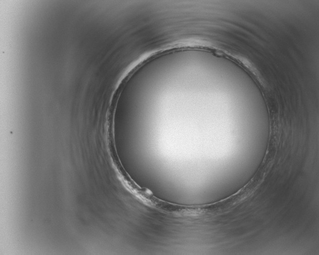 X0000080131134200612302029