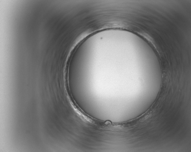 X0000080131135200612302029